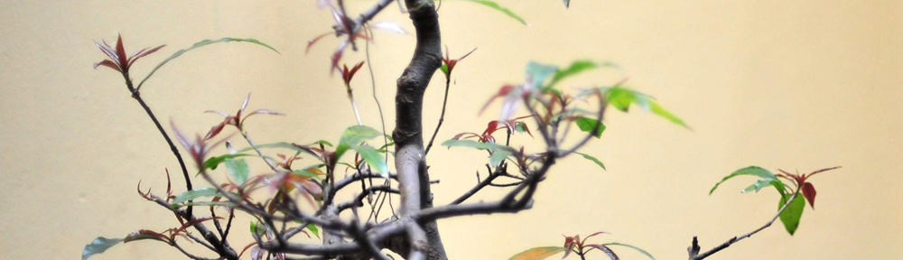 Moore's Tank Services Inc.